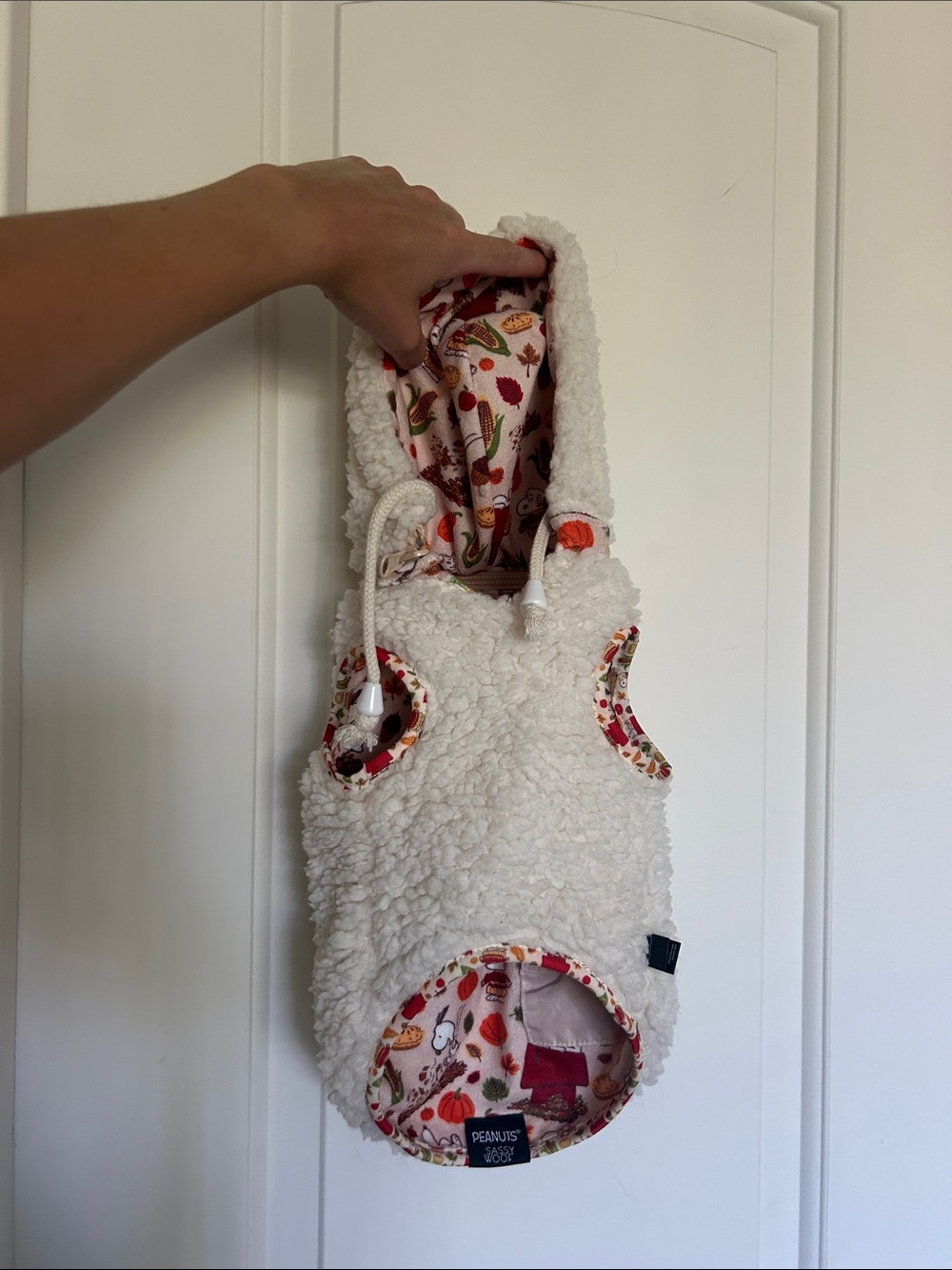 Sassy Woof x Peanuts dog reversible Sherpa jacket (Peanuts Harvest)